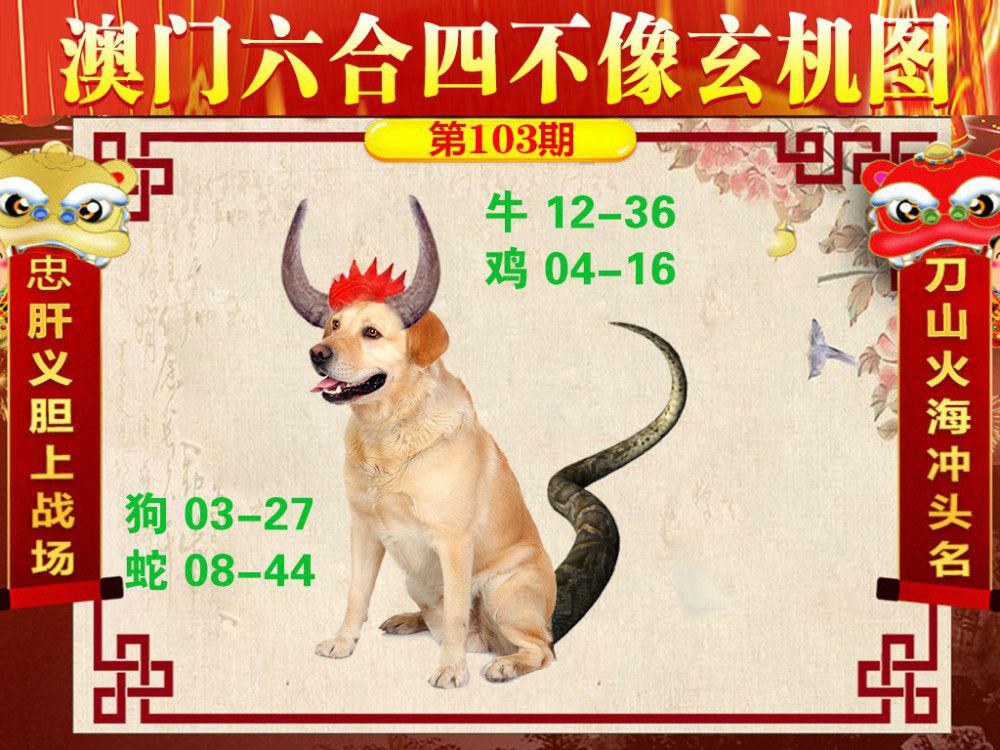 2024年澳彩全年资料	