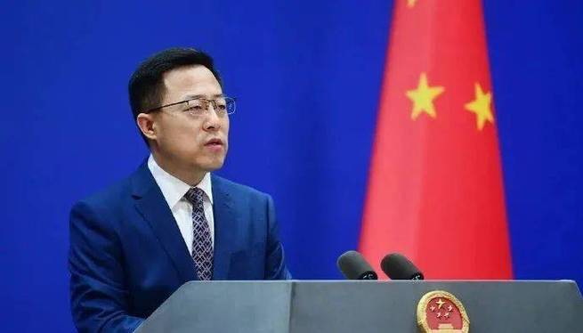 巴外长最新表态