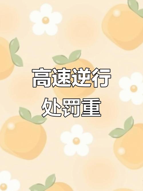 合作伙伴 第9页