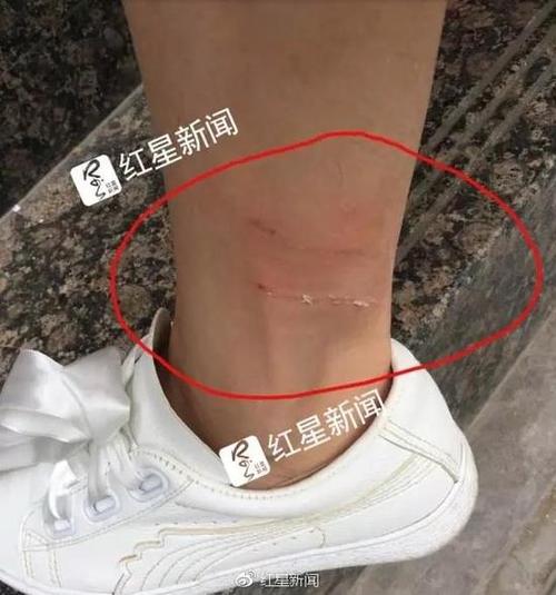 二四六香港资料期期准中特和女子为4只狗立遗嘱与女子为4只狗立遗嘱视频