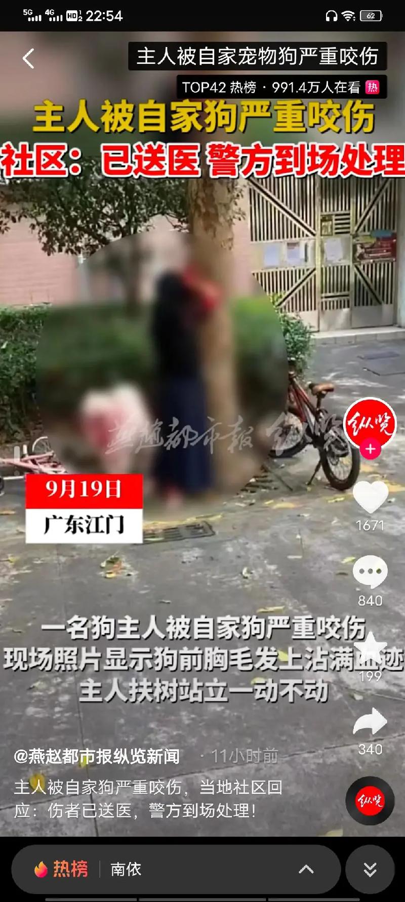 澳门码今晚开什么特号和狗闯村民家咬伤女童与村里的狗咬人,应该找谁解决