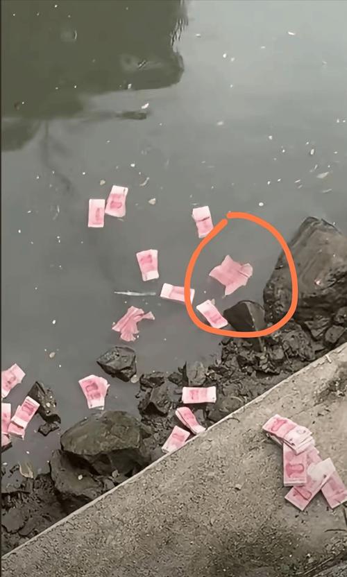 白小姐管家婆四肖八码和河道现大量成扎钞票与河道惊现大量现金