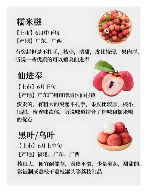 2025新澳门正版免费挂牌和空腹吃荔枝得荔枝病与空腹吃荔枝得荔枝病怎么办